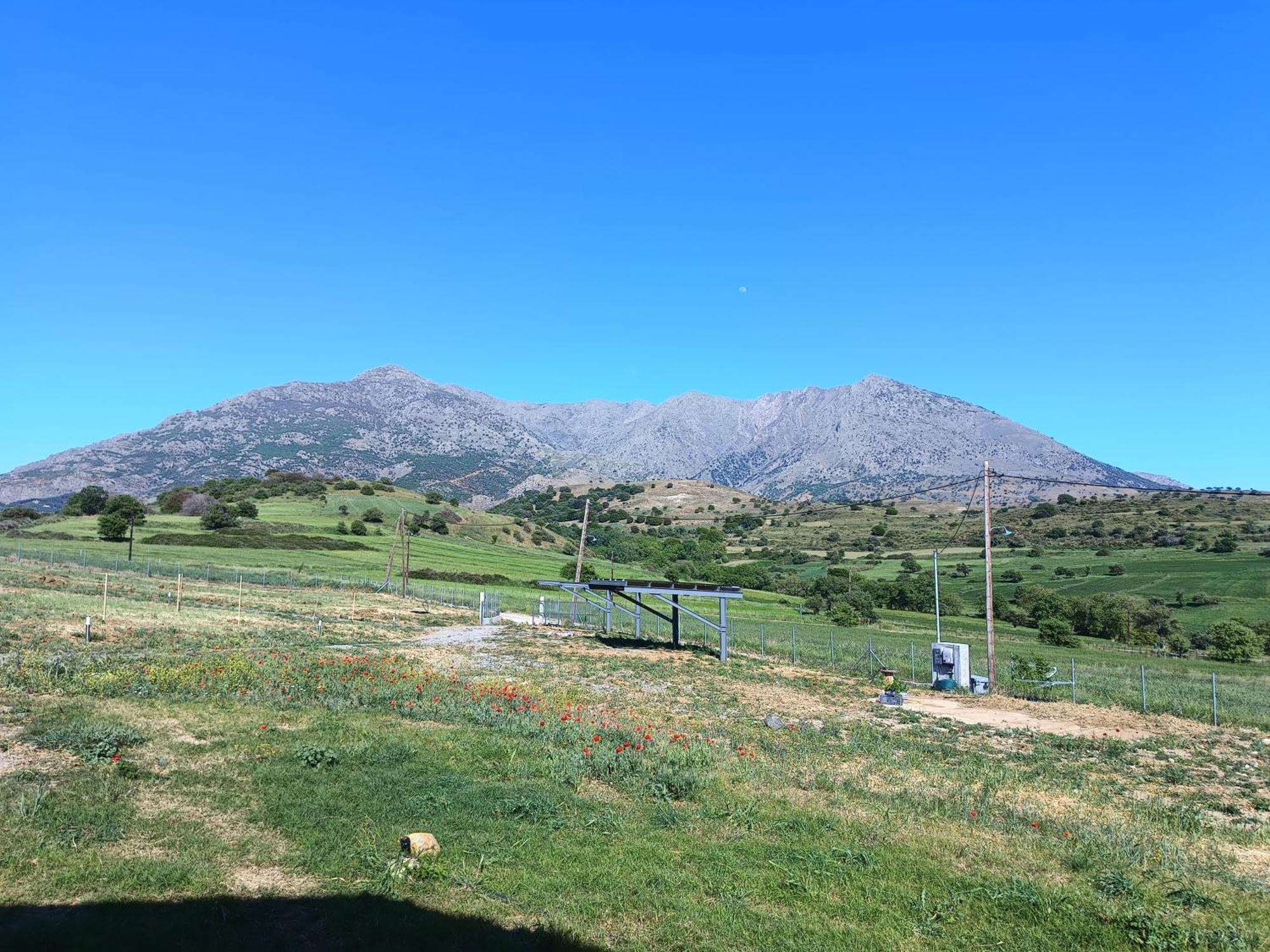 Samothráki Pezoulia Cottages מראה חיצוני תמונה